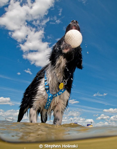 Play! Canon G10, Sea and Sea Strobe by Stephen Holinski 